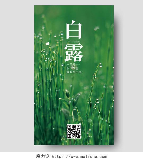 绿色简约清新风格中国二十四节气白露手机海报